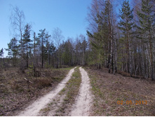 DSCN2447.JPG