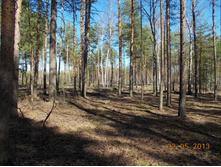 DSCN2451.JPG