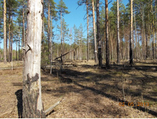 DSCN2452.JPG