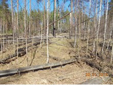 DSCN2454.JPG