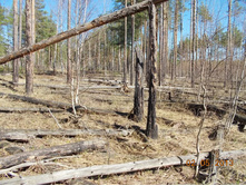 DSCN2455.JPG
