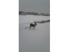 20130301_115126.jpg