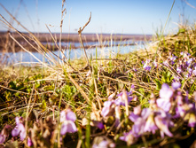 20130502-DSC08500.jpg