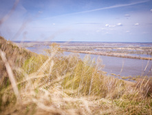 20130503-DSC08661.jpg