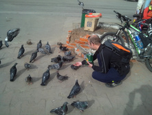 img20130504094613.jpg