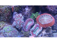 04.05.2013 21:48:16