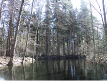 DSC01250.JPG