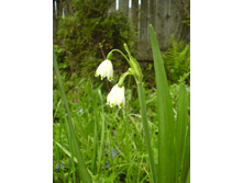 DSC00021.JPG