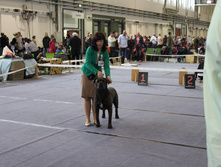 IMG_7159.JPG