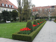 IMG_7220.JPG