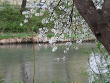 IMG_7252.JPG
