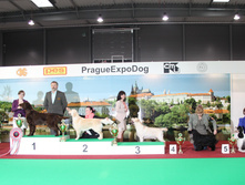 IMG_7885.JPG