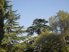 DSCN0001.JPG