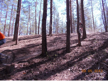 DSCN2803.JPG