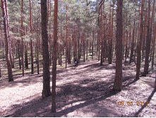DSCN2860.JPG