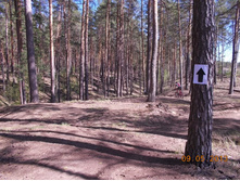 DSCN2880.JPG