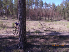 DSCN2895.JPG
