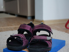 DSC03870.JPG