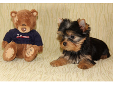 IMG_0264.JPG