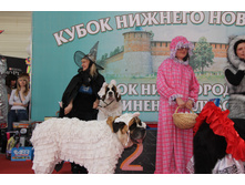 IMG_9170.JPG