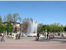 IMG_7882.JPG