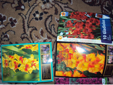 DSC05441.JPG