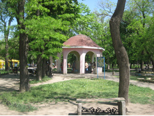 IMG_8959.JPG