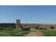 IMG_9060.JPG