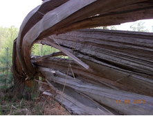 DSCN2950.JPG