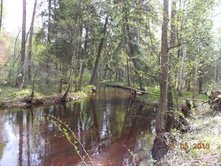 DSCN2953.JPG