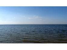 IMG_8251.JPG