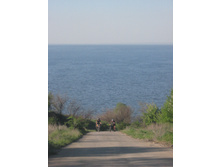 IMG_8262.JPG