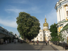 IMG_9676.JPG