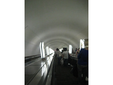 IMG_9766.JPG