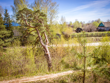 20130509-DSC08796.jpg