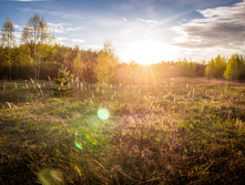 20130509-DSC08897.jpg