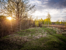 20130509-DSC08916.jpg