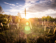 20130509-DSC08918.jpg
