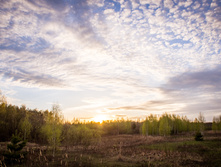 20130509-DSC08963.jpg