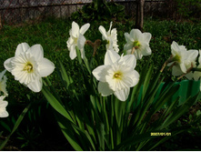 S73R4157.JPG