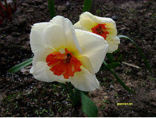 S73R4171.JPG