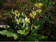 S73R4206.JPG