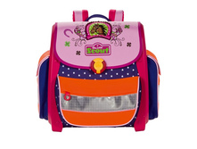 �������� ����� Scout Buddy �������