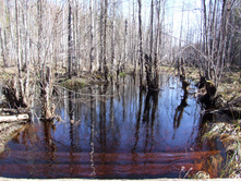 DSCF0548.JPG