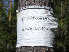 DSCF0573.JPG