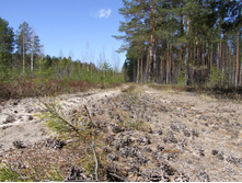 DSCF0583.JPG