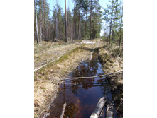 DSCF0587.JPG