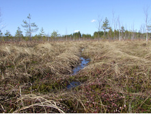 DSCF0614.JPG