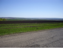 IMGP0002.JPG
