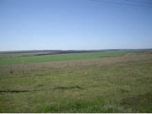 IMGP0010.JPG